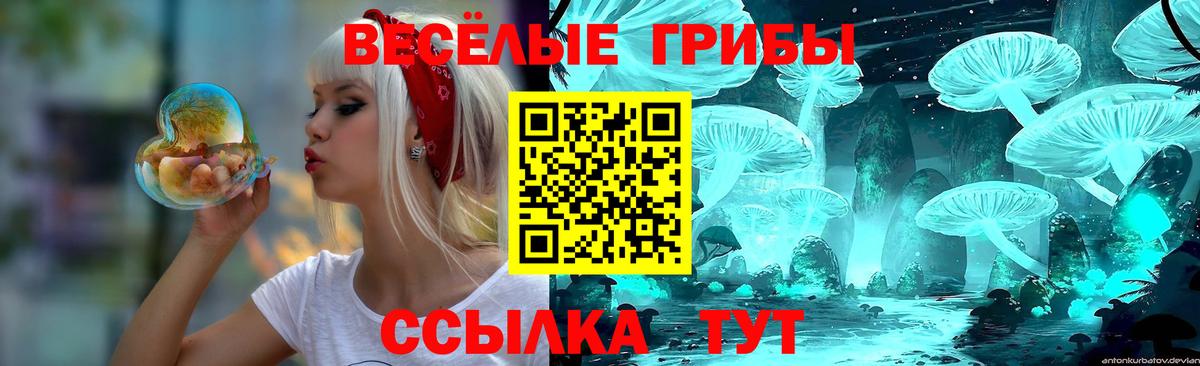 Кохма  Галлюциногенные грибы Psilocybe  Вход с VPN 